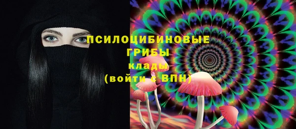 твердый Приозерск