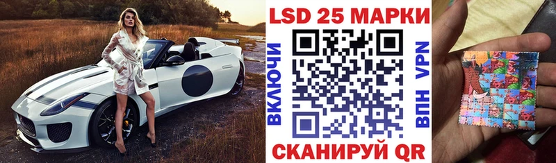 блэк спрут   купить  цена  Похвистнево  Марки N-bome 1,8мг 