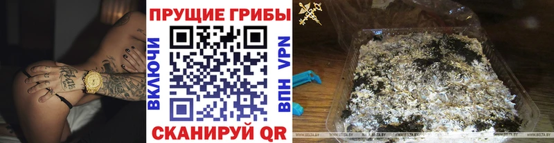 Псилоцибиновые грибы Magic Shrooms  Похвистнево 